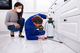 Best Residential Pest Control  in Macon, IL